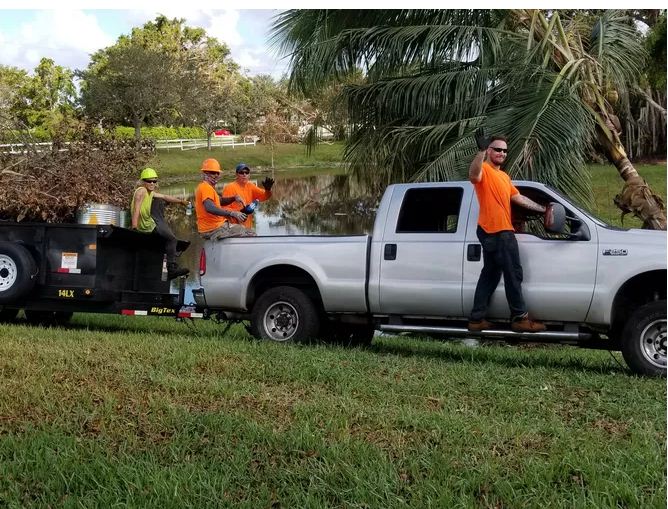 Image for South Florida Tree Service with ID of: 2259633