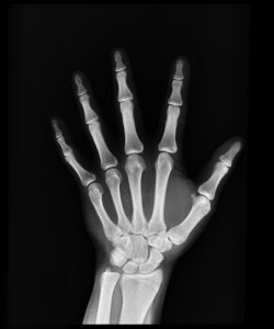 Image for Absolute Chiropractic Care with ID of: 2259753