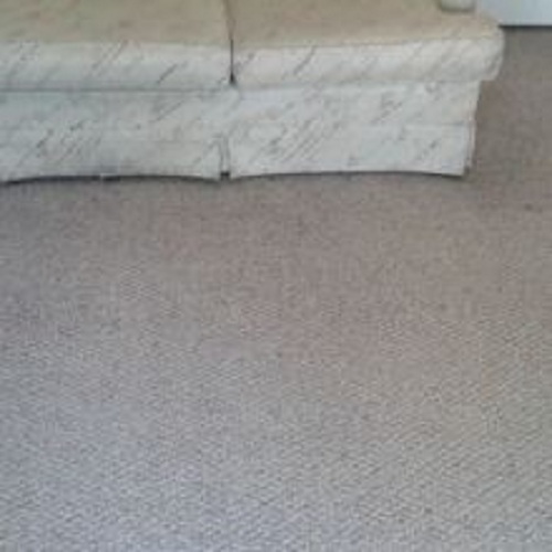 Image for SJ D&D Carpet Care with ID of: 2259971
