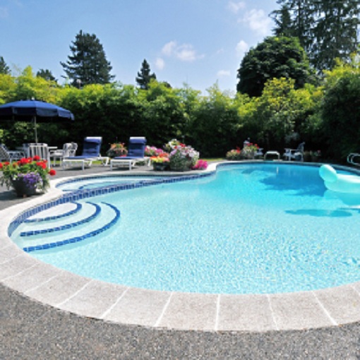 Image for Pool Genie with ID of: 2262962