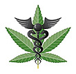 Image for San Diego Evaluation with ID of: 2264099