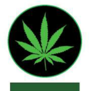 Image for A Cut off the Top with ID of: 2267356