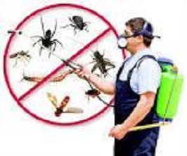 Image for Pest control plainfield NJ with ID of: 2267844