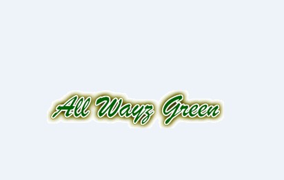 Image for All Wayz Green with ID of: 2269412