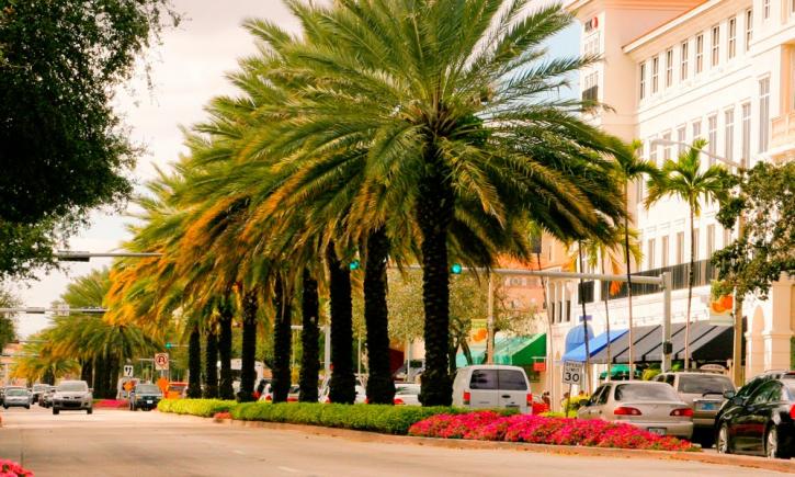 Image for Miracle Mile & Downtown Coral Gables with ID of: 2269992