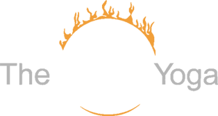 Image for The Ashram Yoga Bellevue with ID of: 2270129