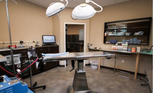 Image for Bergen County Veterinary Center with ID of: 2271204