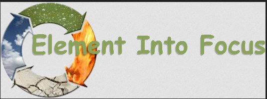 Image for Element Into Focus with ID of: 2272947