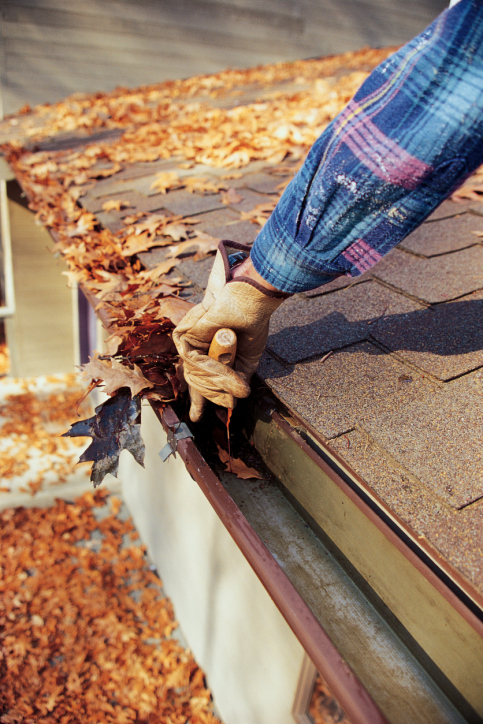Image for Dreher Guttering Svc with ID of: 2273812
