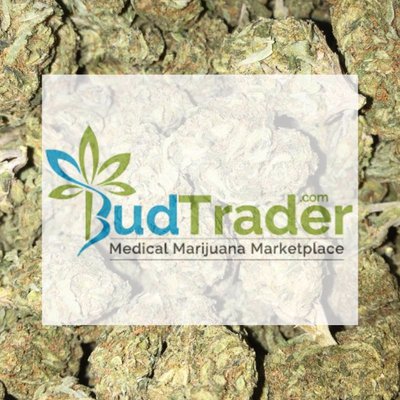Image for BudTrader with ID of: 2275164