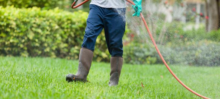 Image for Terra Garden Solutions, Inc. with ID of: 2275936