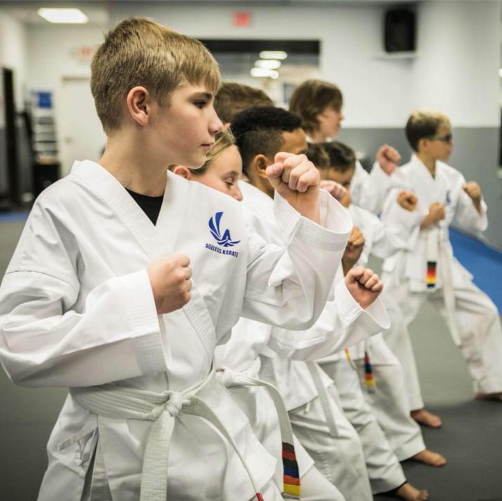 Image for Ageless Martial Arts with ID of: 2276012
