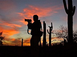 Image for Poco Productions with ID of: 2276163