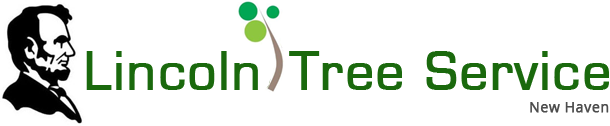 Image for Lincoln Tree Service with ID of: 2276475