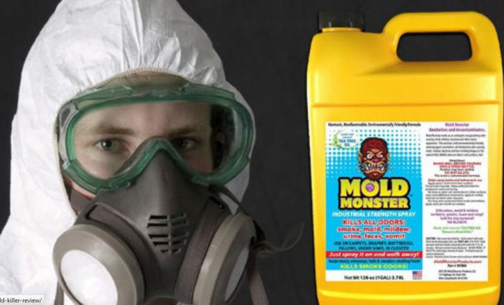Image for Let's Remove Mold with ID of: 2276968