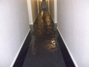 Image for Carpet Cleaning Columbia with ID of: 2278045