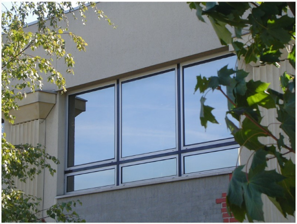 Image for Protinting Pty Ltd - Window Tinting Lilydale with ID of: 2278652