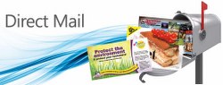 Image for Mail Pros USA with ID of: 2279497