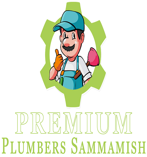 Image for Premium Plumbers Sammamish with ID of: 2279821