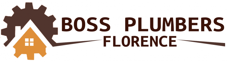 Image for Boss Plumbers Florence with ID of: 2280917