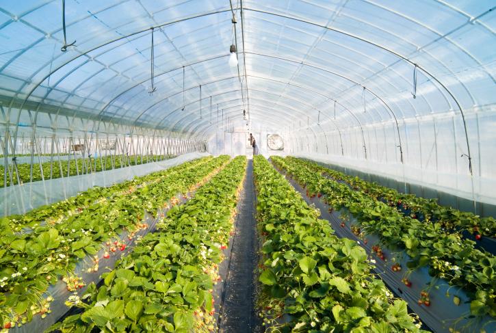 Image for Greenhouse Irrigation System explored in latest research with ID of: 2281447