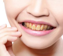 Image for Dentist Brooklyn with ID of: 2281505