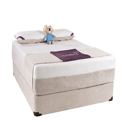 Image for Ortho Mattress with ID of: 2282885
