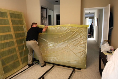 Image for Bed Bug Exterminator Richmond with ID of: 2284065