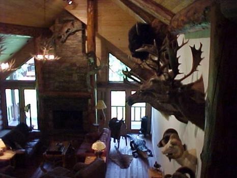 Image for Swan Mountain Wilderness Guide School with ID of: 2285077