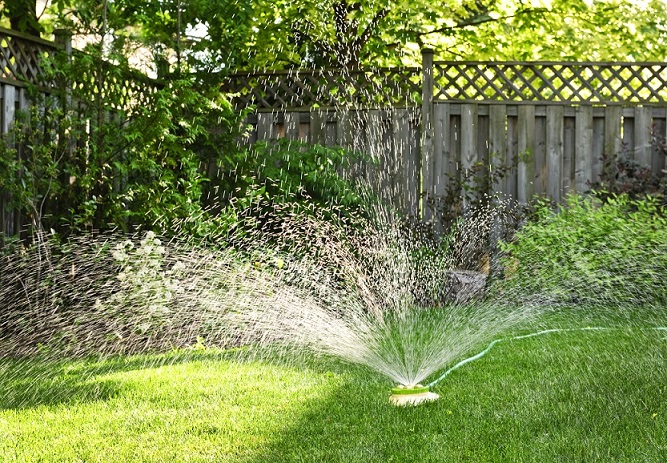 Image for Osorio Irrigation LLC with ID of: 2286653
