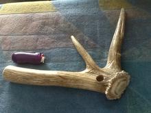 Image for AAA Elk Antler Pipes with ID of: 2290482