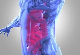 Image for Manhattan Gastroenterology with ID of: 2290867
