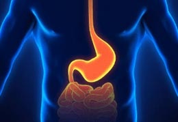 Image for Manhattan Gastroenterology with ID of: 2290870