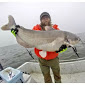 Image for Lake Tawakoni Guide with ID of: 2291815