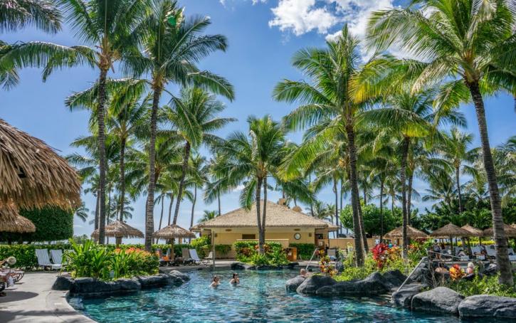 Image for Importance Of Coconut Trees with ID of: 2293280