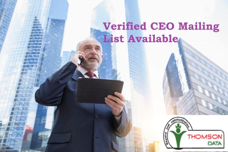 Image for https://www.thomsondata.com/list/ceo-mailing-list.php with ID of: 2293757