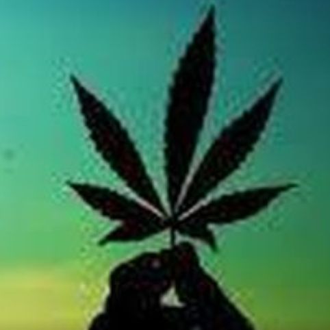 Image for Trenchtown with ID of: 2295598