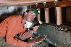 Image for Advantages Of Working With Advanced Pest Control Service Instead Of Doing By yourself with ID of: 2295757