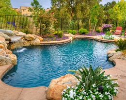 Image for The Pool Pros with ID of: 2295838