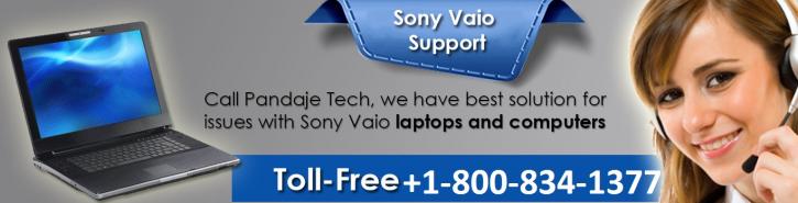 Image for Best Tech Support Services for Sony Computer Setup at Affordable Charges with ID of: 2296158