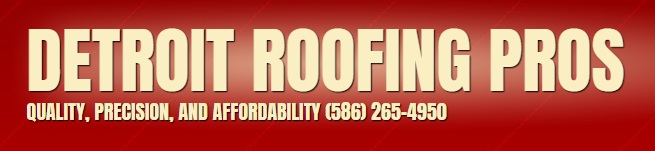 Image for Detroit Roofing Pros with ID of: 2296772