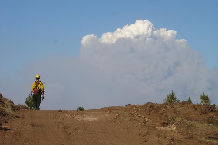 Image for Windswept Wildfire with ID of: 2297117