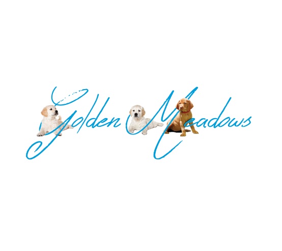Image for Golden Meadows Kennel with ID of: 2298187