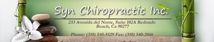 Image for Syn Chiropractic, Massage, Holistic Aesthetics, Functional Health with ID of: 2300377