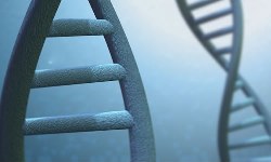 Image for Test Me DNA with ID of: 2301478