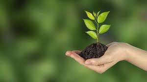 Image for Global Carbon Offset/Carbon Credit Trading Service Market Size, Status and Forecast 2025 with ID of: 2304072