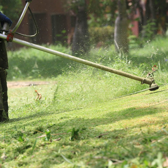 Image for Pepe's Lawn Care with ID of: 2304422