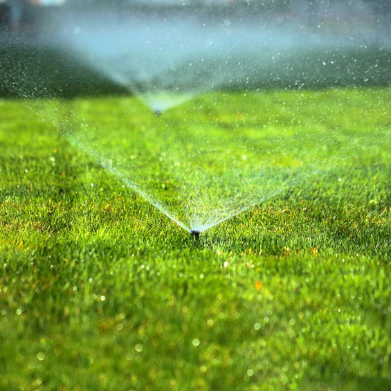 Image for Pepe's Lawn Care with ID of: 2304423