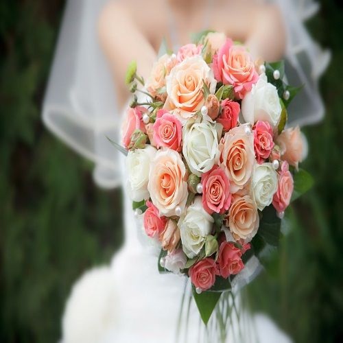 Image for Alterations & Veils By Beatrice with ID of: 2304938