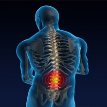 Image for Kay Chiropractic Clinic with ID of: 2305074